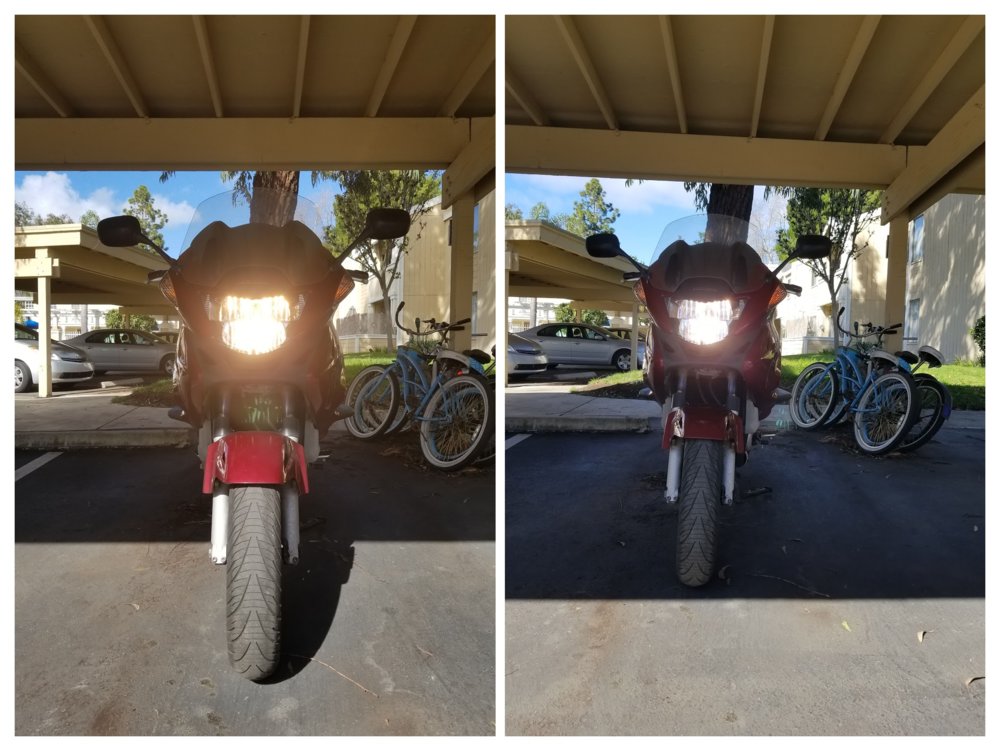 20190217_095952-COLLAGE (1).jpg