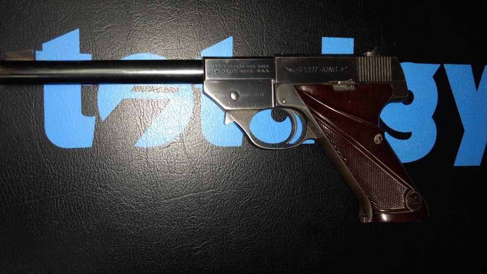 Hogh Point Sport King .22.jpg