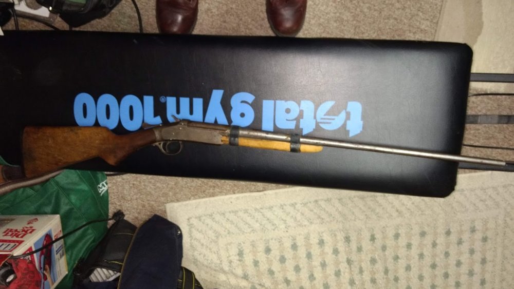 Iver Johnson .410.jpg