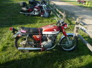 a  honda.JPG