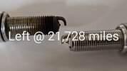 IMG_20240818_053401~2.jpg