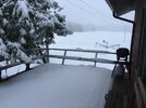 D96B3115-317C-47EF-AEAE-7B6C0A8B3C75.jpeg